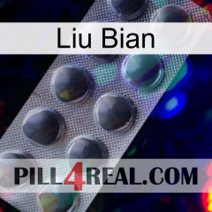Liu Bian 30